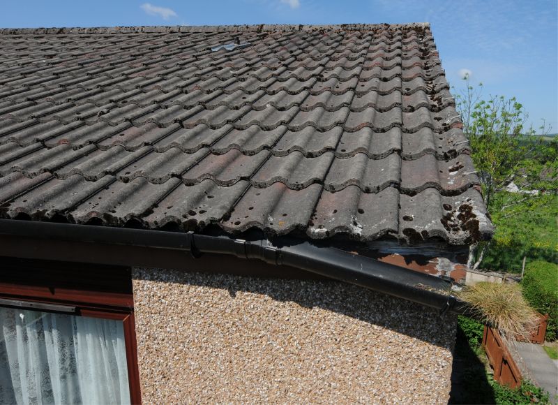 Extends Gutter Lifespan